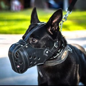 Meet your Posher, Danny